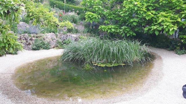 2017_06_21doschka_garten010.jpg